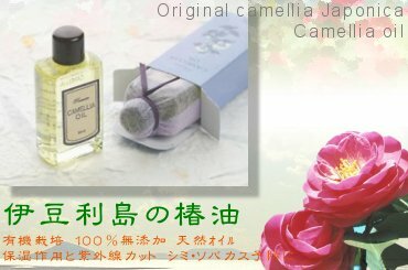 �ɓ������֖�